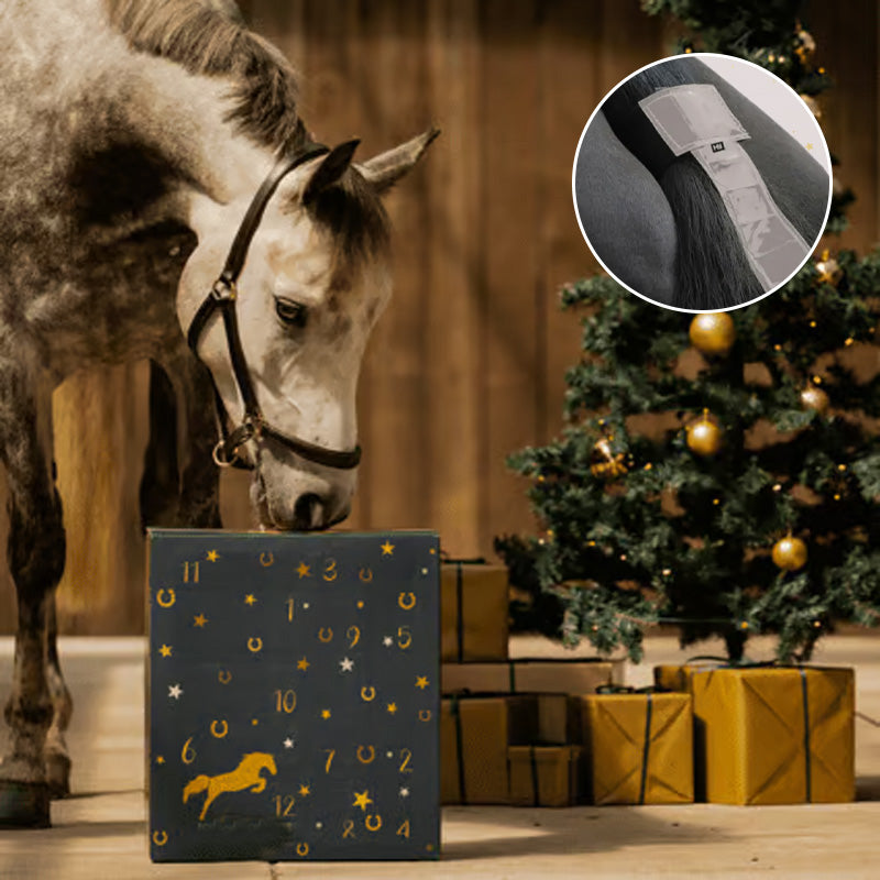 🐎Calendrier de l'Avent des Fournitures pour Chevaux 2024
