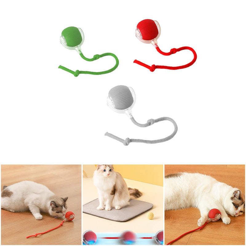 Balle interactive pour chat d'intérieur🔥Achetez-en 2 et obtenez-en 1 gratuit🔥