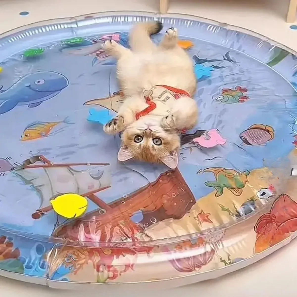 Tapis gonflable pour jeux d'eau