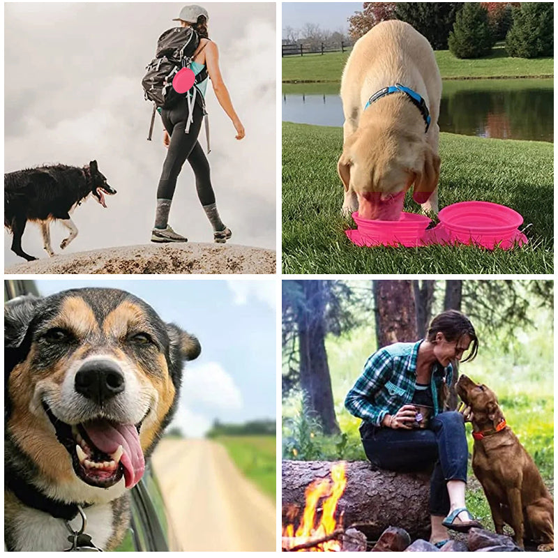 Ensemble de Gamelle Pliable de Voyage en Silicone pour Chien