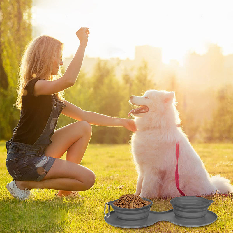 Ensemble de Gamelle Pliable de Voyage en Silicone pour Chien