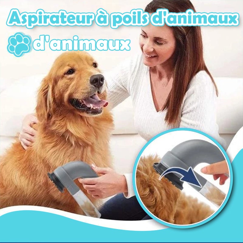 Aspirateur Ă Poils d'Animaux