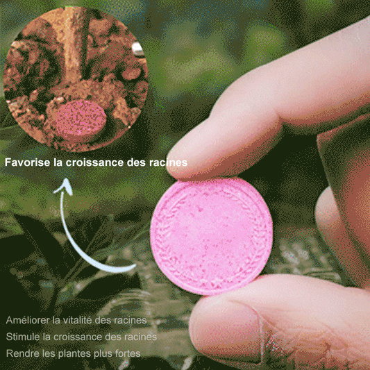 🥬Engrais de jardin universel à libération lente sous forme de comprimés🥬