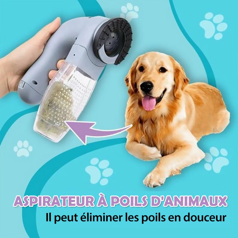 Aspirateur Ă Poils d'Animaux