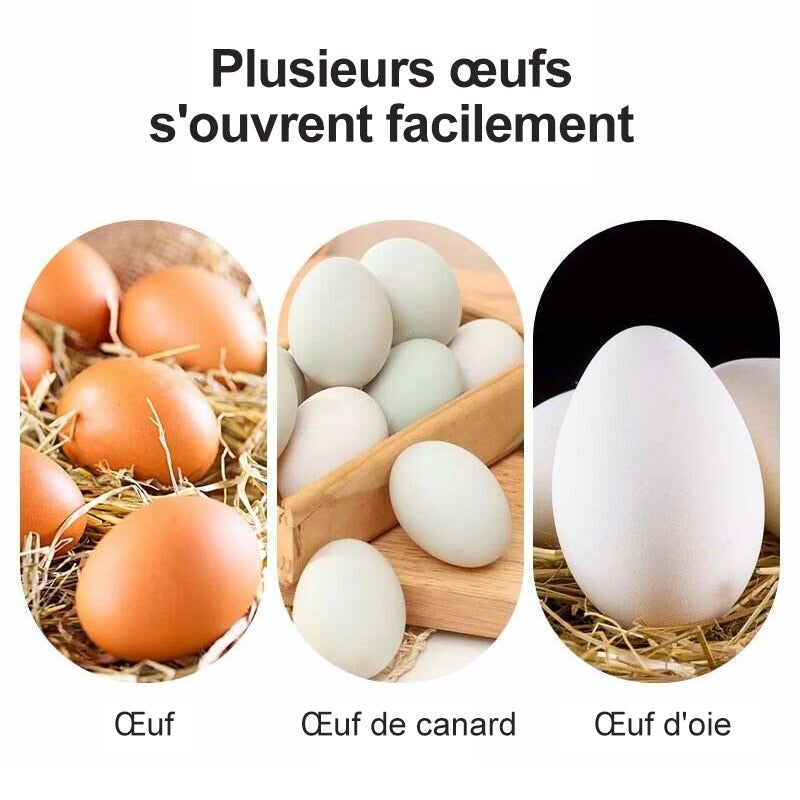 Ouvre-coquille d'Œuf