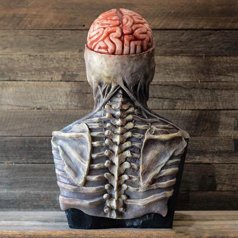 đBioman Squelette Horribleđ