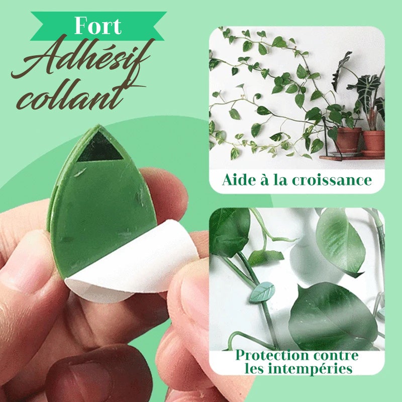 Clip de Fixation d'Artefact Grimpant pour Plantes