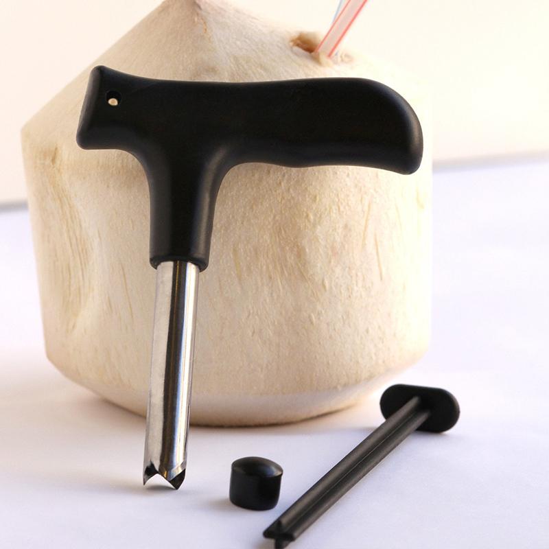Outil à ouvrir les noix de Coco en Acier Inoxydable