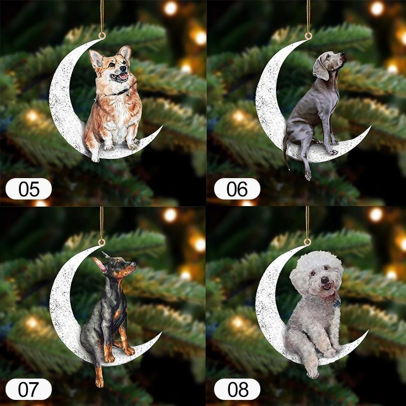 Asseyez Sur La Lune - Ornement Recto Verso