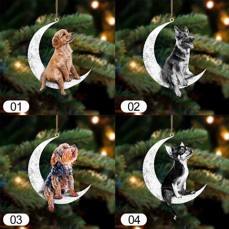 Asseyez Sur La Lune - Ornement Recto Verso