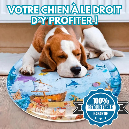 Tapis gonflable pour jeux d'eau