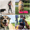 Ensemble de Gamelle Pliable de Voyage en Silicone pour Chien