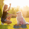 Ensemble de Gamelle Pliable de Voyage en Silicone pour Chien