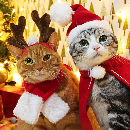 Ciaovie™ Costume de Noël pour Animaux de Compagnie - ciaovie