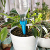 Système D'Arrossage Pour Plantes En Pot - ciaovie