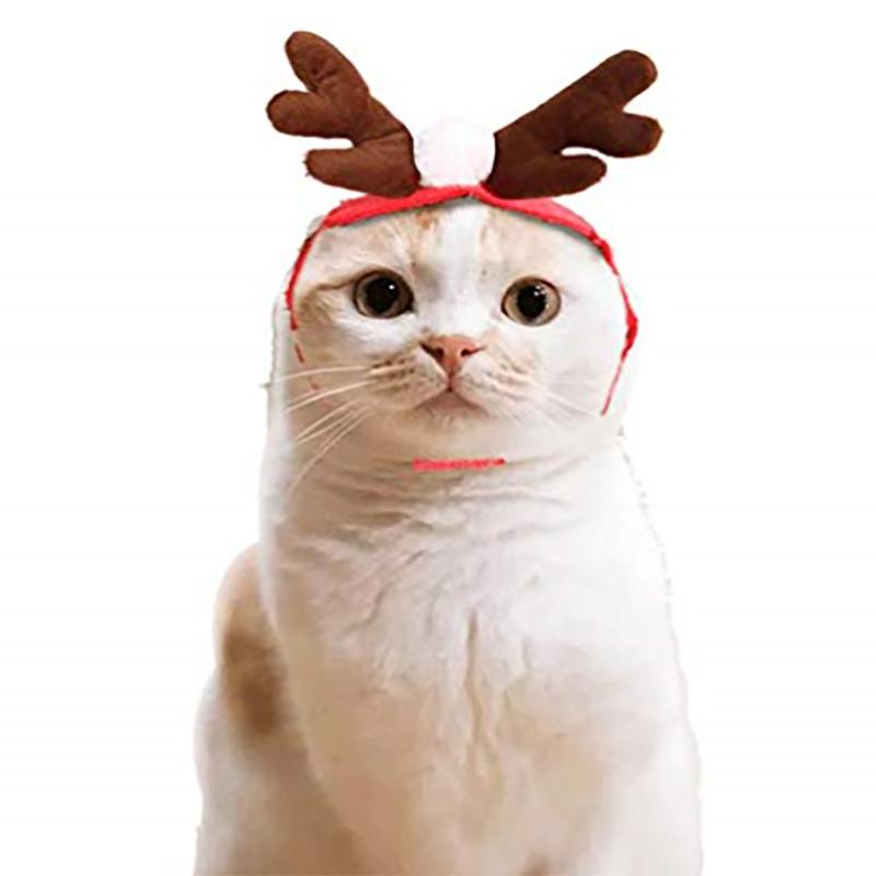 Ciaovie™ Costume de Noël pour Animaux de Compagnie - ciaovie