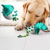 Jouets Des œufs De Dinosaures à Mâcher Pour Chiens