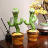 Cactus Dansant