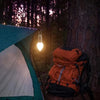 Ampoule rétro suspendue pour Camping en plein air, charge de Type C