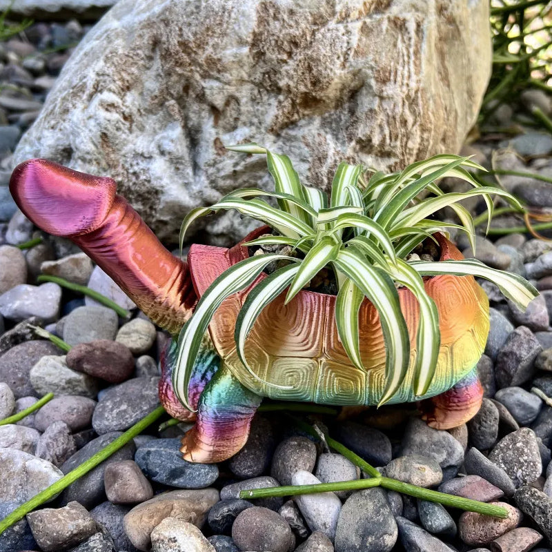 Petite jardinière tortue escargot