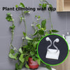 Clips Muraux pour Plantes Grimpantes (30 pièces)