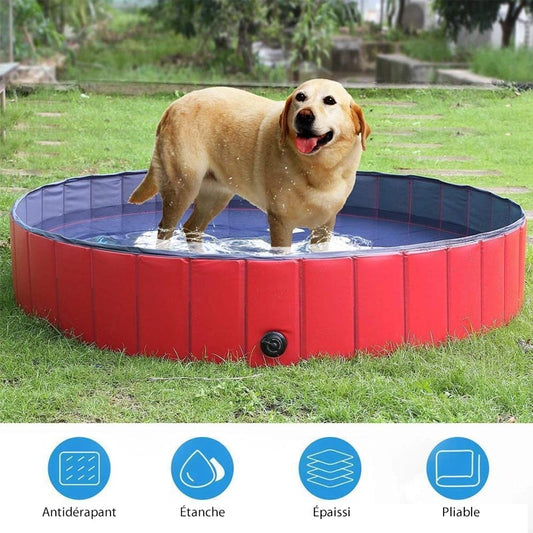 Piscine Portable Pliable pour Animaux de Compagnie - ciaovie