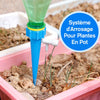 Système D'Arrossage Pour Plantes En Pot - ciaovie