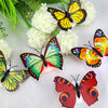 Veilleuse 3D LED Papillon Décoration