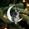 Asseyez Sur La Lune - Ornement Recto Verso