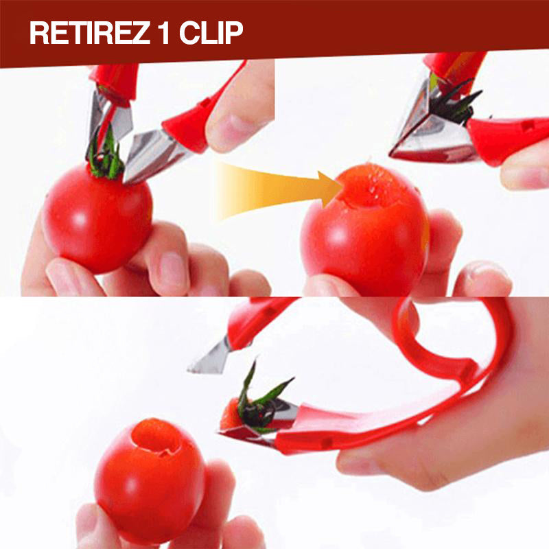 Décortiqueur de Tiges de Fruits Polyvalent