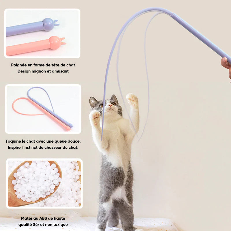 Bâton de taquinerie en silicone