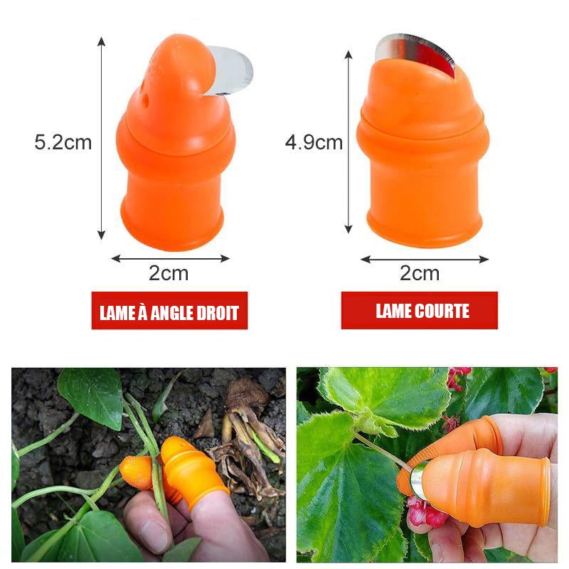 Couteau à Pouce pour Cueillir Légumes et Fruits - ciaovie