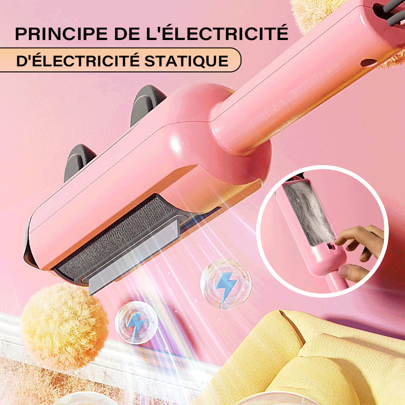 Épilateur pour animaux de compagnie réutilisable