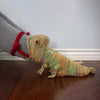 Chaussettes En Forme De l'Animal Mignon Tricotées En Laine
