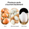 Ouvre-coquille d'Œuf
