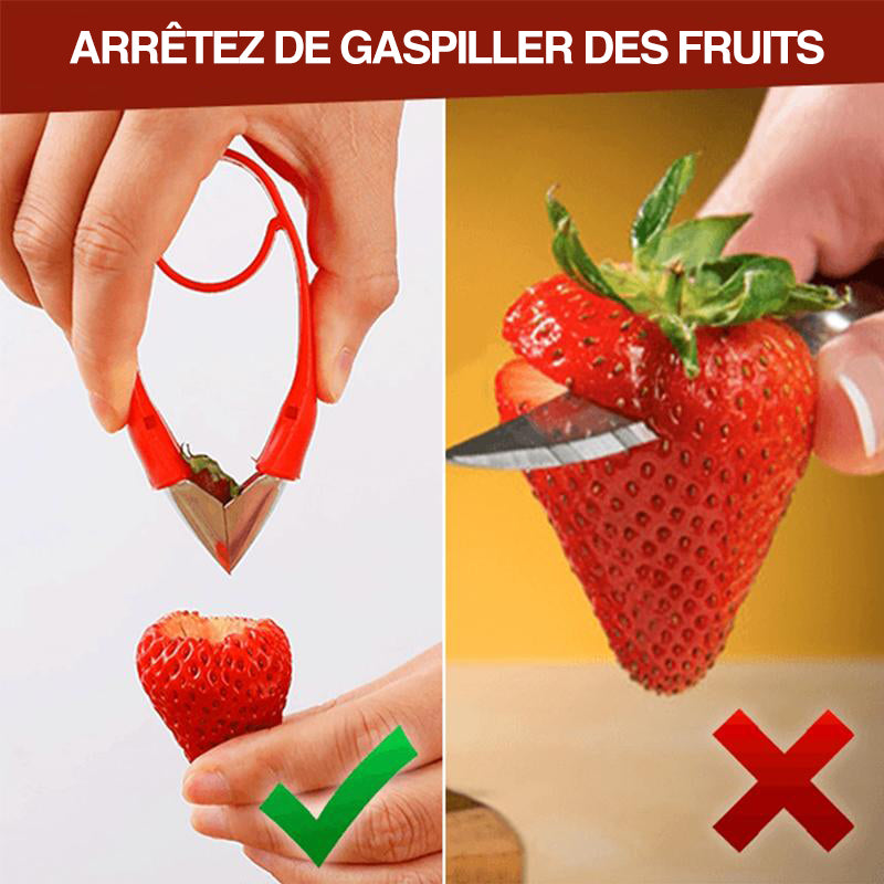 Décortiqueur de Tiges de Fruits Polyvalent