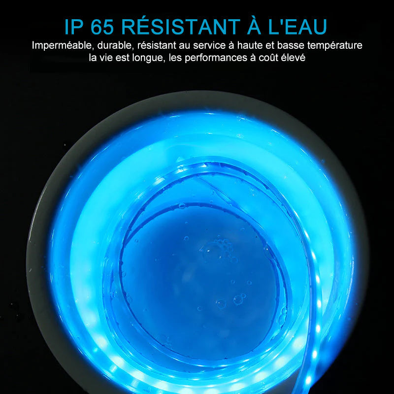 Bande LED dynamique pour capot de voiture