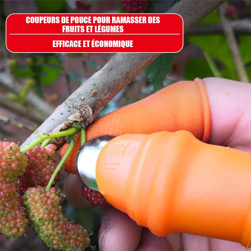 Couteau à Pouce pour Cueillir Légumes et Fruits - ciaovie