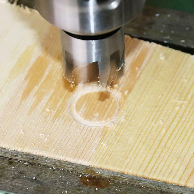 Plug Insert (8 Pieces) - ciaovie