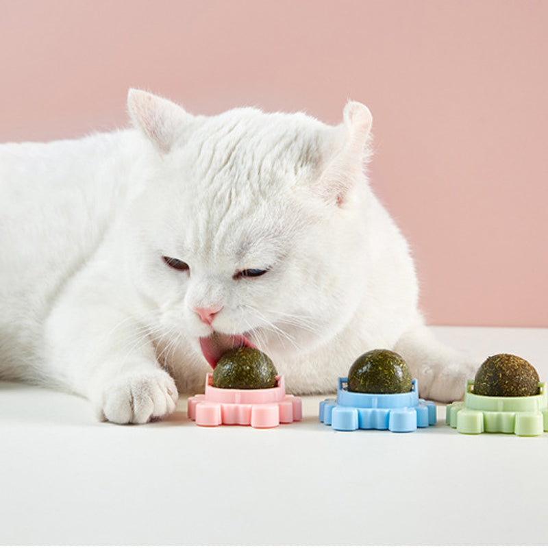 Balles d'herbe à chat - Jouets pour chat