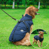 Manteau d'hiver à fermeture éclair pour chiens