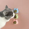 Balles d'herbe à chat - Jouets pour chat