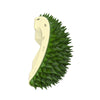 Jouets multifonctionnels Durian